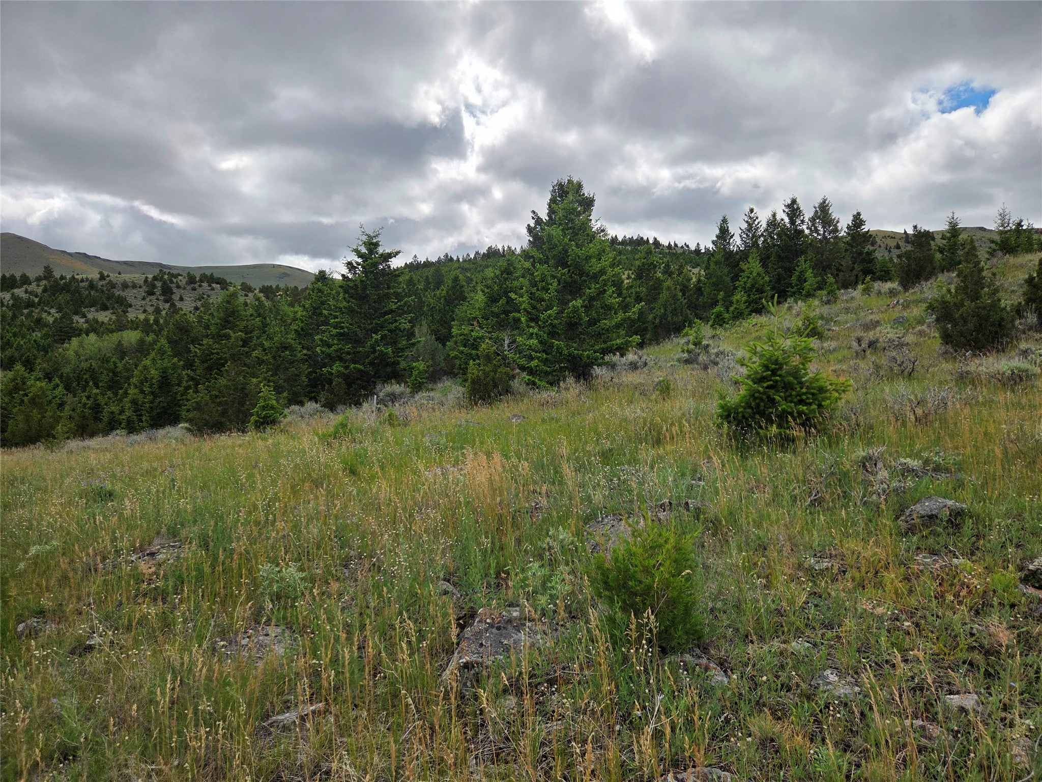 TBD E Harrison Street