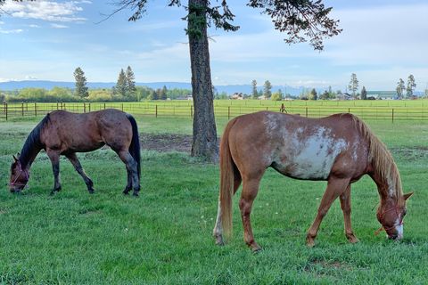 Tiny photo for 1275 Lower Valley Road, Kalispell, MT 59901 (MLS # 30065986)
