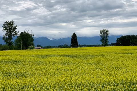 Tiny photo for 1275 Lower Valley Road, Kalispell, MT 59901 (MLS # 30065986)