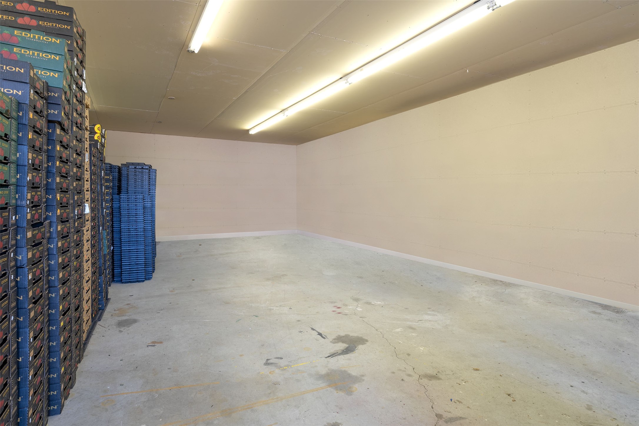 Polson, Montana 59860, United States, 3 Bedrooms Bedrooms, ,2 BathroomsBathrooms,Residential,Active,53949