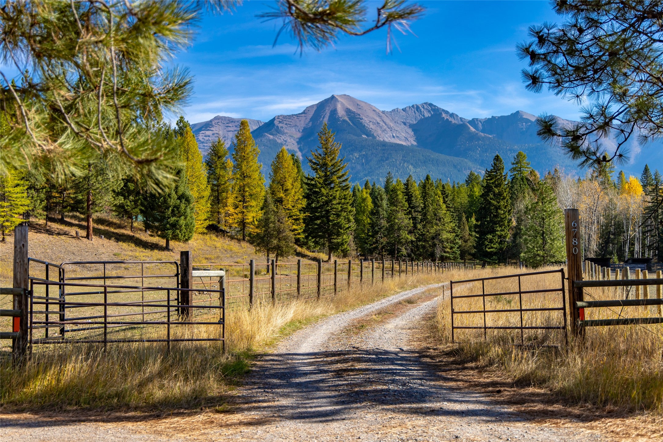 6780 MT Highway 83