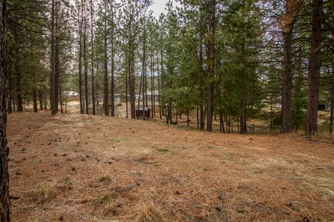 NHN Hayden Street Rexford MT 59930