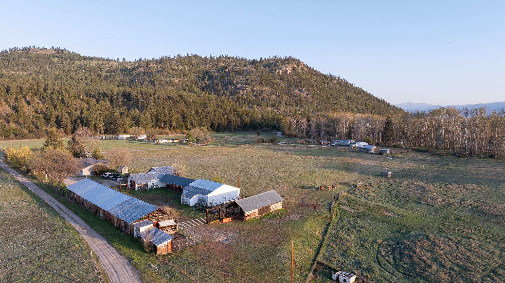 3690 Big Flat Road