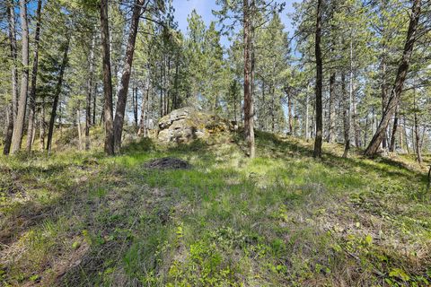 Tiny photo for 285 Lutheran Camp Road, Lakeside, MT 59922 (MLS # 30069630)