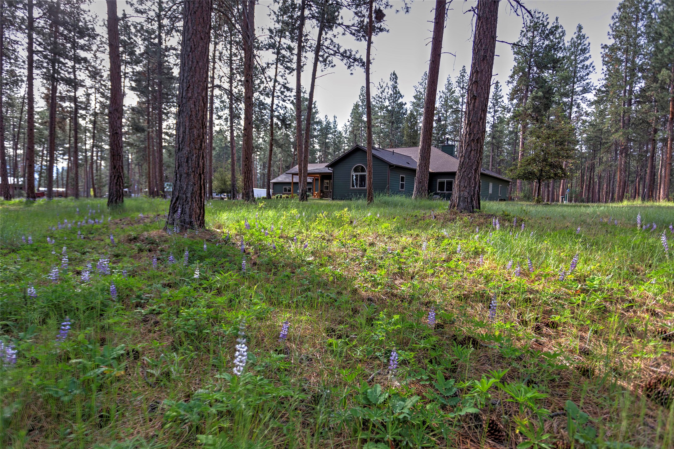 123 Mountain Goat Road