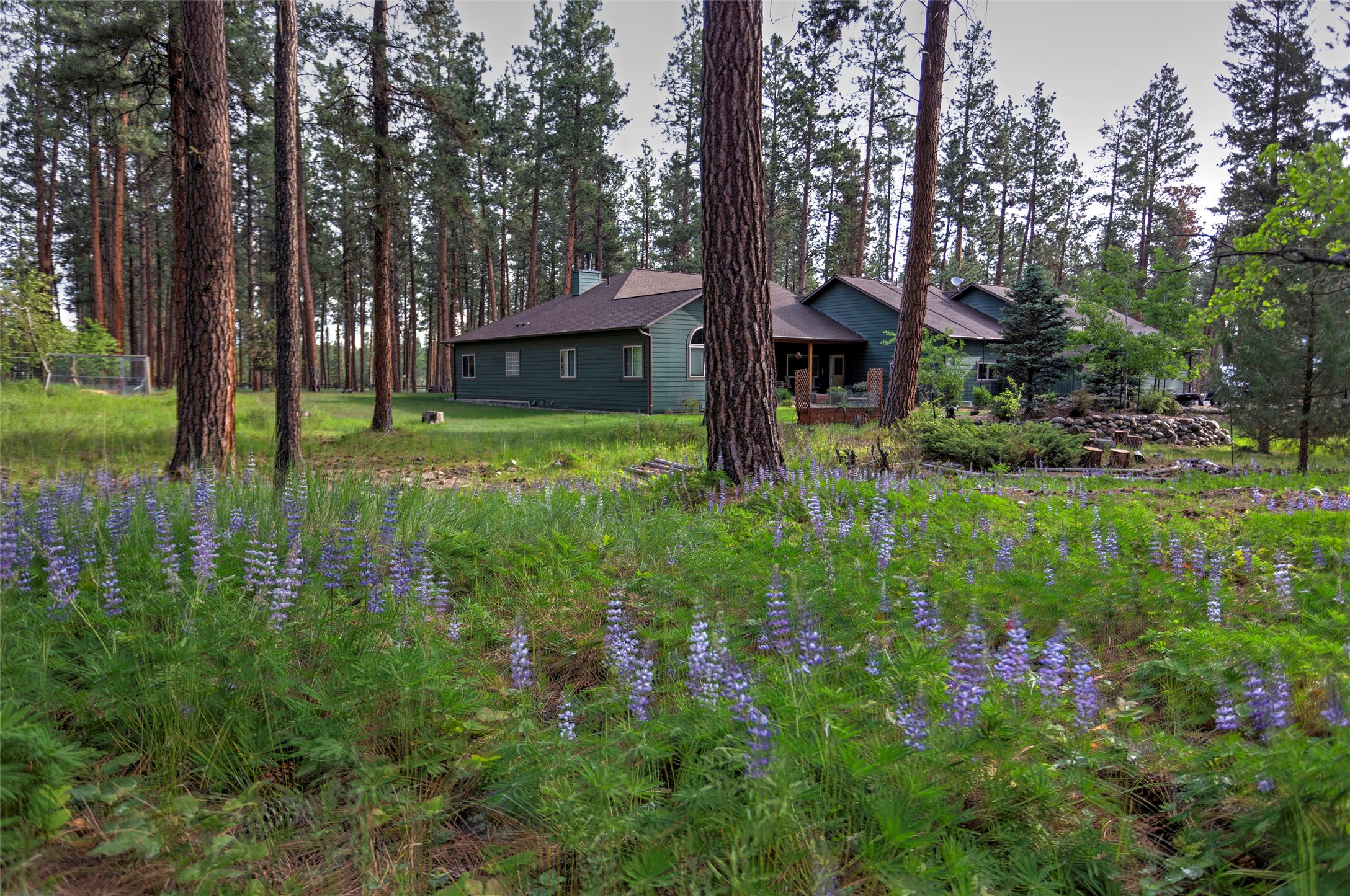 123 Mountain Goat Road