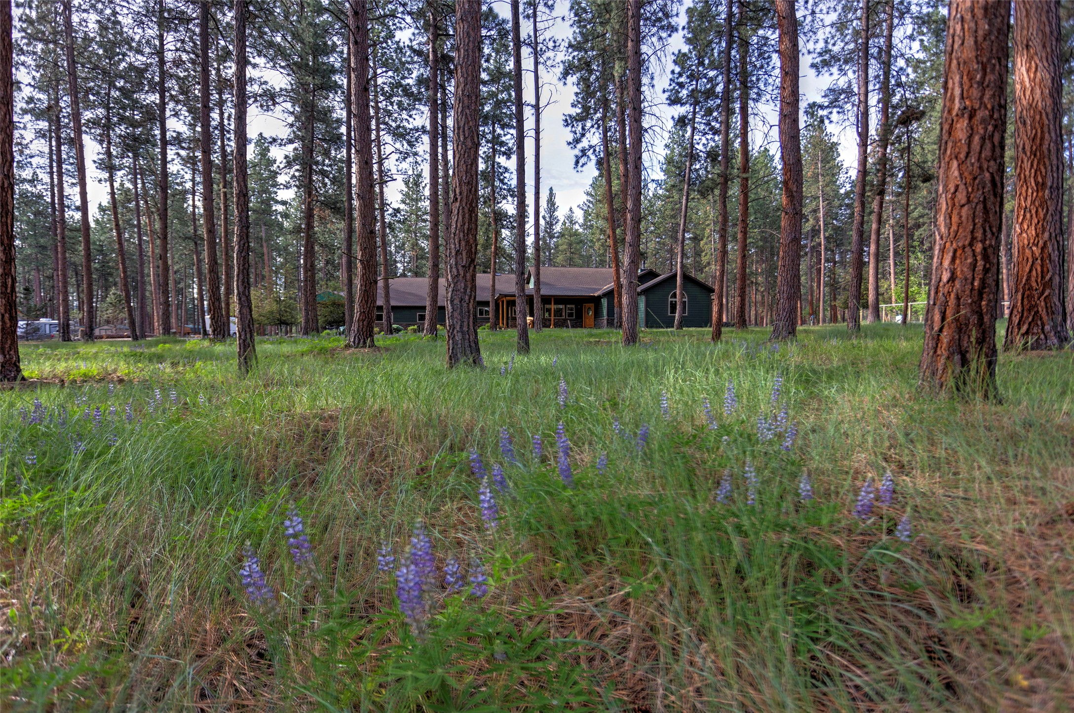 123 Mountain Goat Road