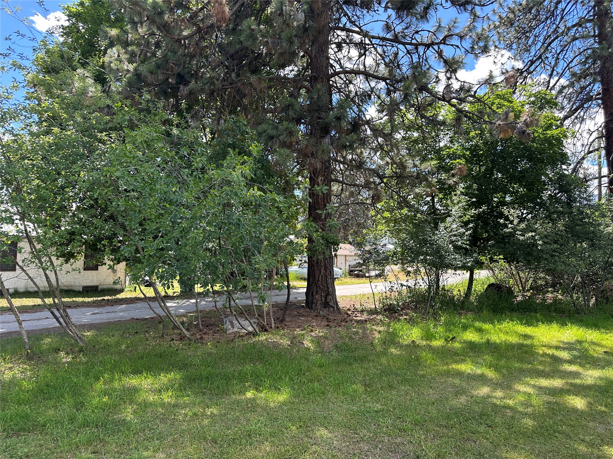 207 Woodland Street