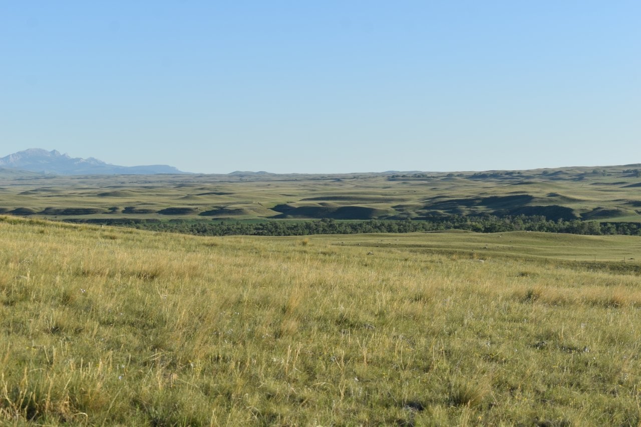 Lot 50 Meadowlark Lane
