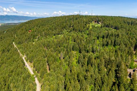 Tiny photo for 25 Starview Drive, Bigfork, MT 59911 (MLS # 30073504)