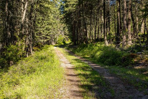 Tiny photo for 25 Starview Drive, Bigfork, MT 59911 (MLS # 30073504)