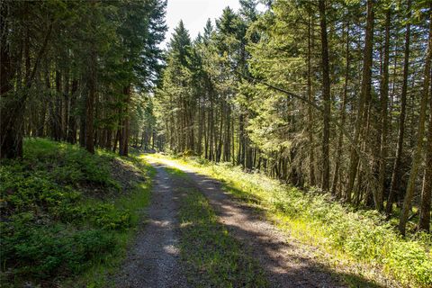 Tiny photo for 25 Starview Drive, Bigfork, MT 59911 (MLS # 30073504)