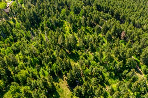 Tiny photo for 25 Starview Drive, Bigfork, MT 59911 (MLS # 30073504)