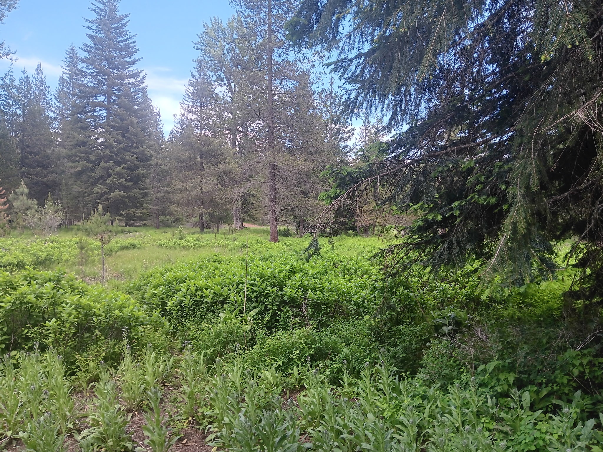 763 Upper Cotton Lane