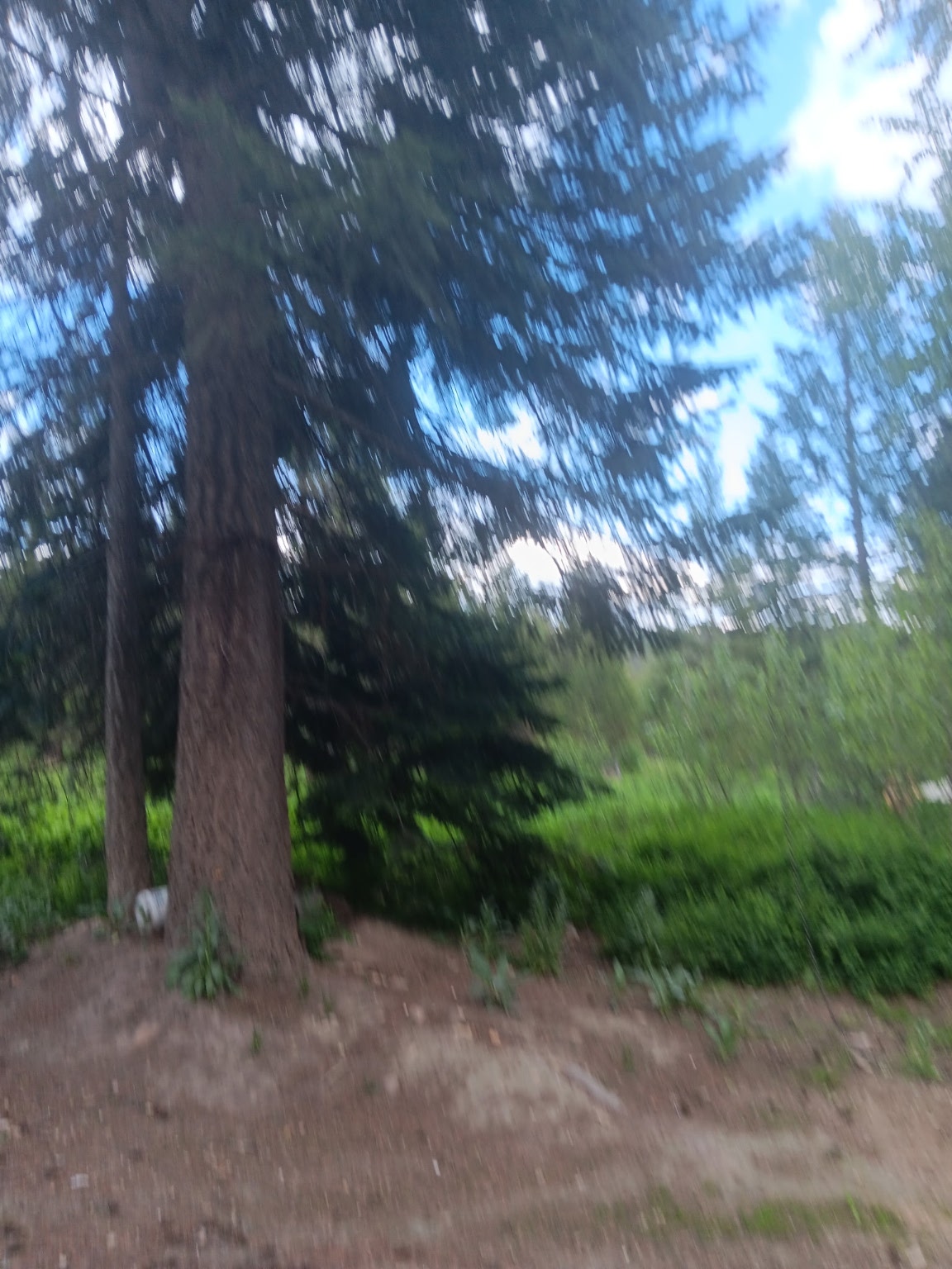 763 Upper Cotton Lane