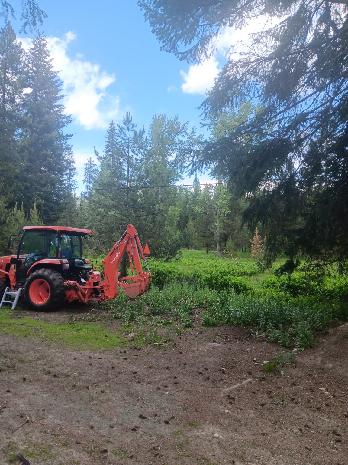 763 Upper Cotton Lane