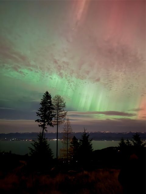 351 Ridge Line Drive Lakeside MT 59922