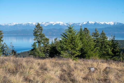 351 Ridge Line Drive Lakeside MT 59922