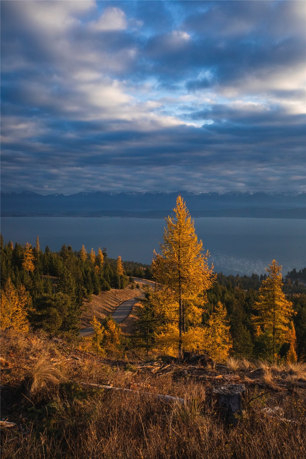 351 Ridge Line Drive