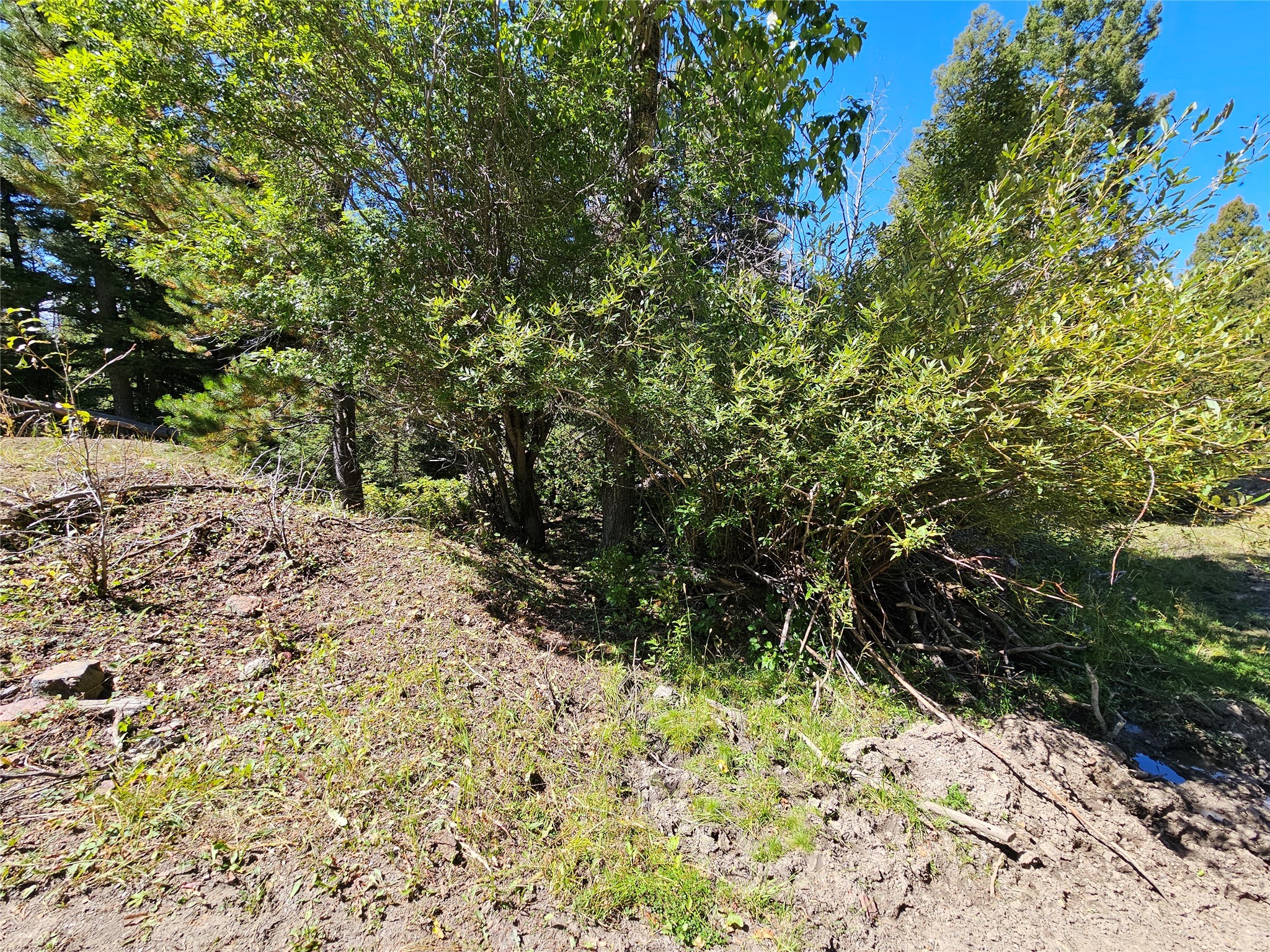 2700 Westridge Road