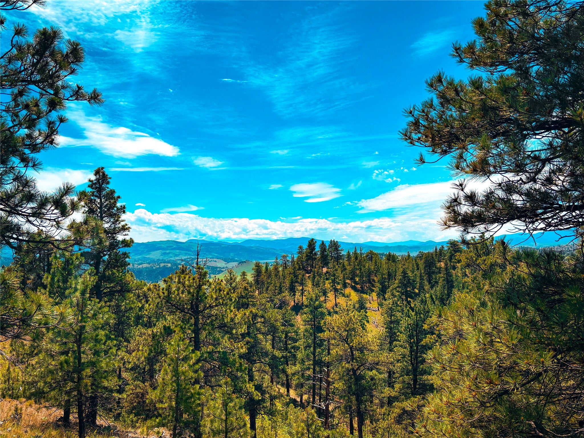 TBD Sugarloaf Mountain Lane