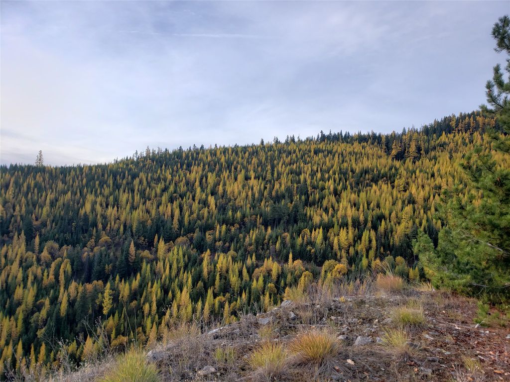 Photo of TBD Nine Mile Rd, Huson, MT 59846 (MLS # 30065344)