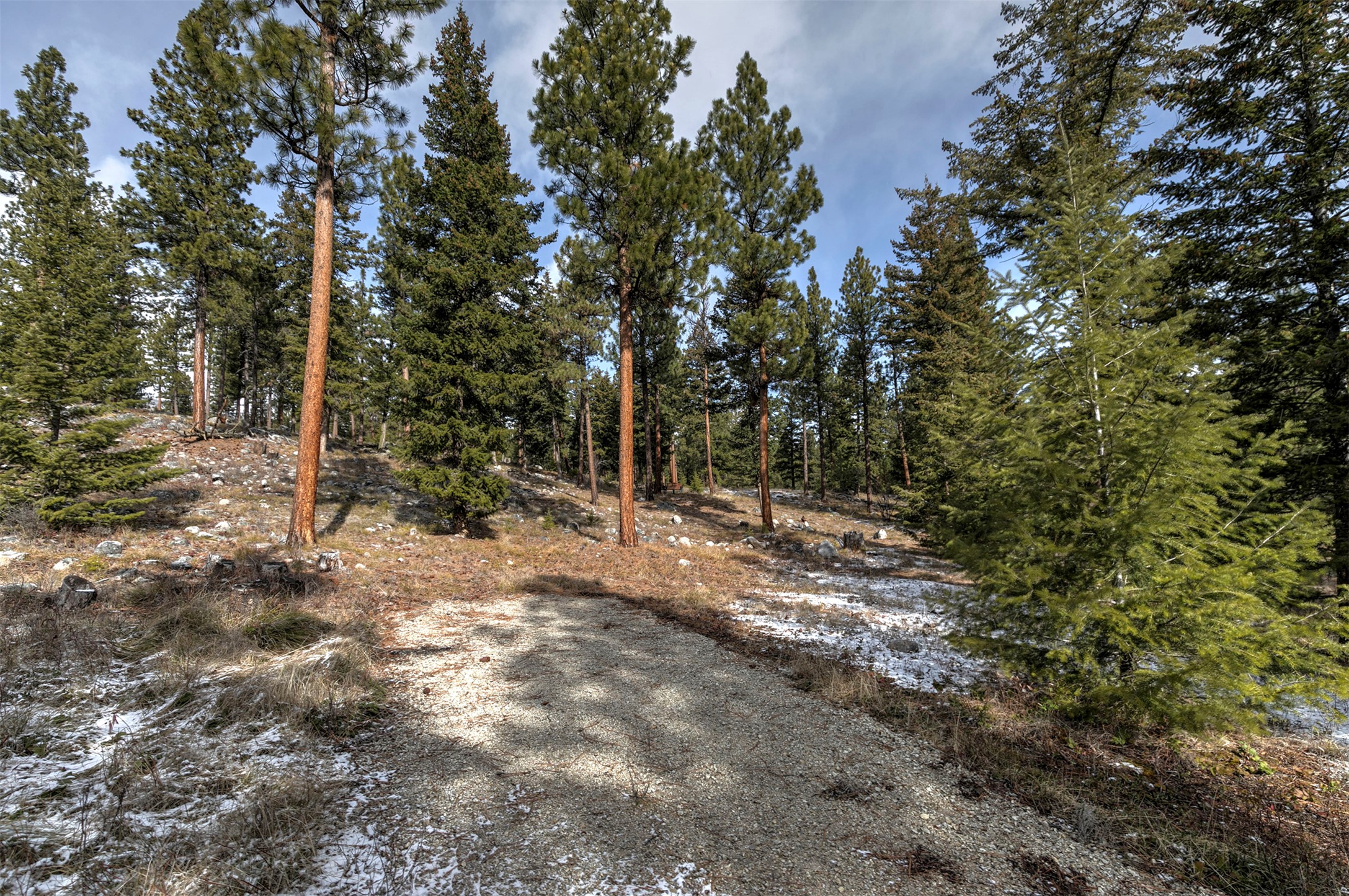 1065 Bear Creek Trail