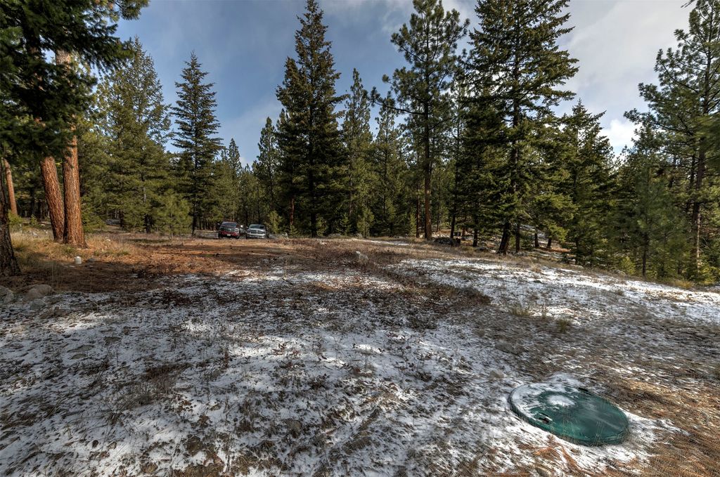 Photo of 1065 Bear Creek Trail, Victor, MT 59875 (MLS # 30066355)