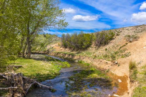 Tiny photo for 255 Canyon Road, White Sulphur Springs, MT 59645 (MLS # 30072103)