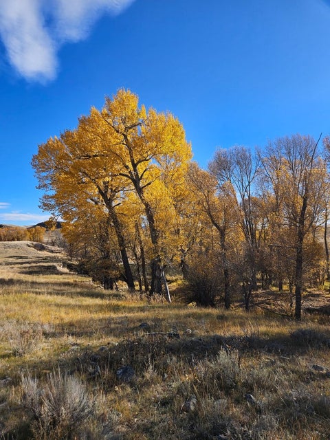 Tiny photo for 255 Canyon Road, White Sulphur Springs, MT 59645 (MLS # 30072103)