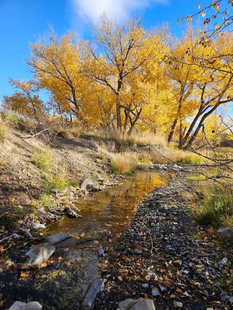 Tiny photo for 255 Canyon Road, White Sulphur Springs, MT 59645 (MLS # 30072103)