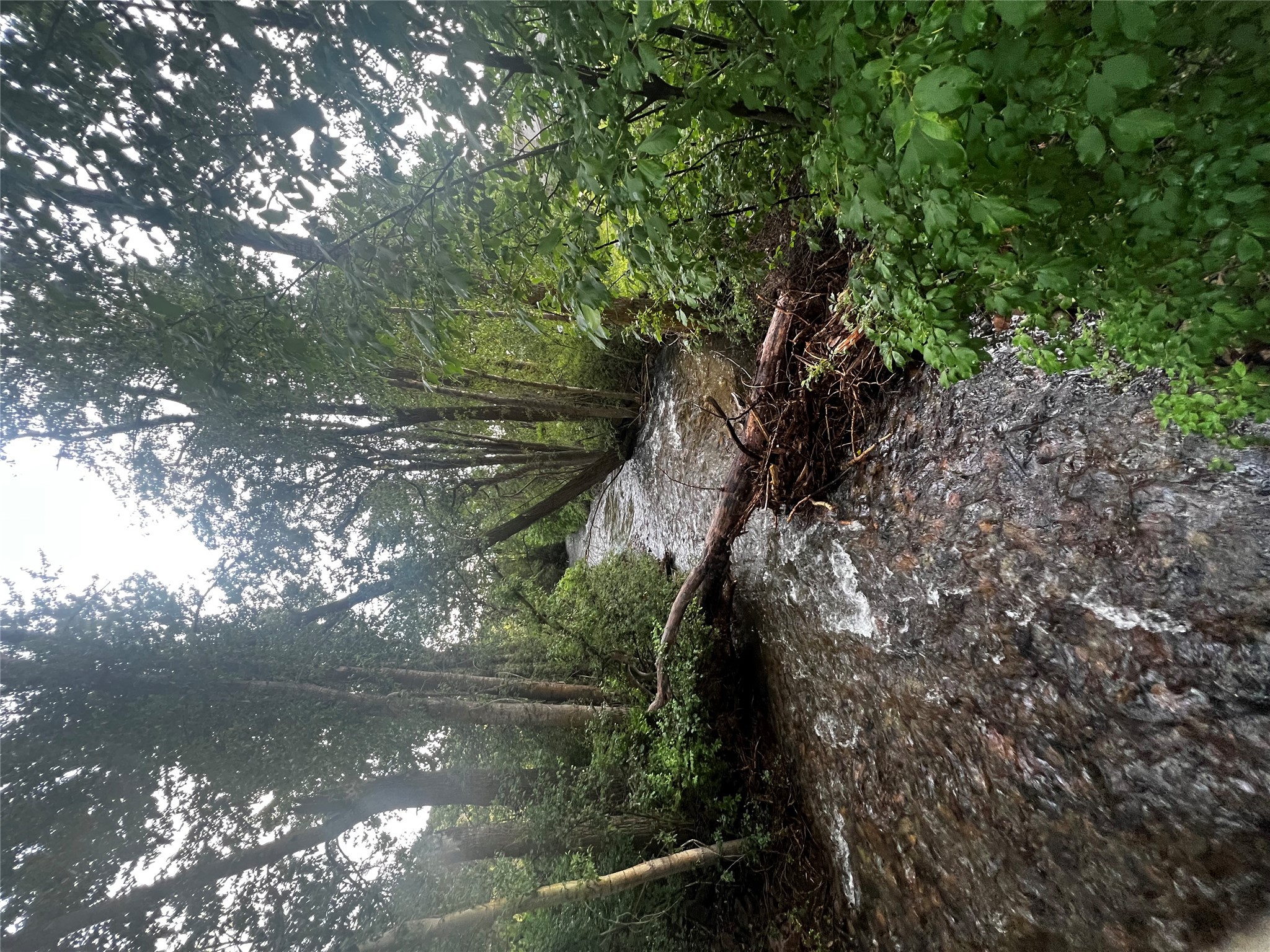 Missoula, Montana 59808, United States, 2 Bedrooms Bedrooms, ,2 BathroomsBathrooms,Residential,Active,152138