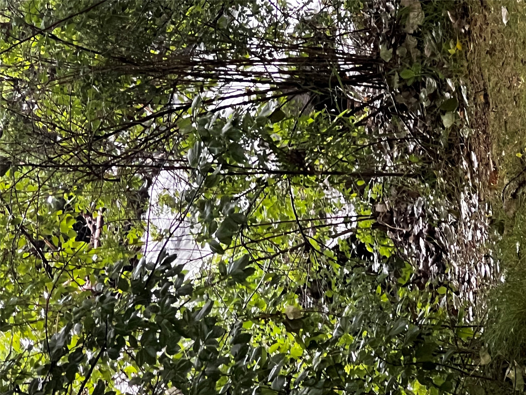 Missoula, Montana 59808, United States, 2 Bedrooms Bedrooms, ,2 BathroomsBathrooms,Residential,Active,152138