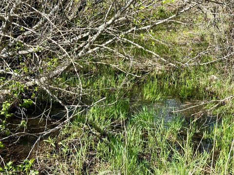 Tiny photo for 2553 S Mullan Trail Road, Gold Creek, MT 59733 (MLS # 30070778)