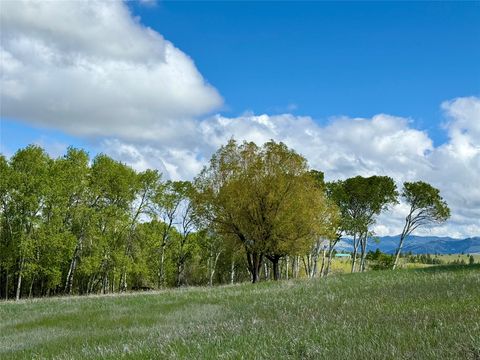 Tiny photo for 2553 S Mullan Trail Road, Gold Creek, MT 59733 (MLS # 30070778)