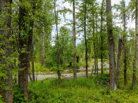 Tiny photo for 98 Dome Mountain Avenue, Libby, MT 59923 (MLS # 30076749)