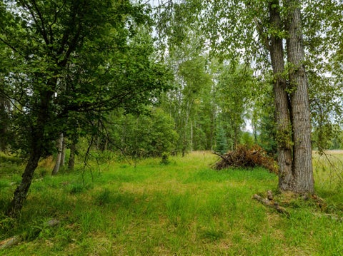 Tiny photo for 98 Dome Mountain Avenue, Libby, MT 59923 (MLS # 30076749)
