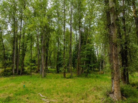 Tiny photo for 98 Dome Mountain Avenue, Libby, MT 59923 (MLS # 30076749)
