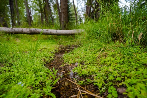 Tiny photo for 98 Dome Mountain Avenue, Libby, MT 59923 (MLS # 30076749)