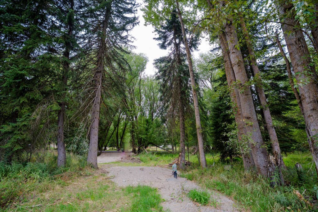 Photo of 98 Dome Mountain Avenue, Libby, MT 59923 (MLS # 30076749)
