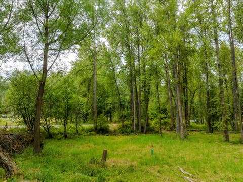 Tiny photo for 98 Dome Mountain Avenue, Libby, MT 59923 (MLS # 30076749)