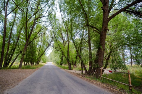 Tiny photo for 98 Dome Mountain Avenue, Libby, MT 59923 (MLS # 30076749)