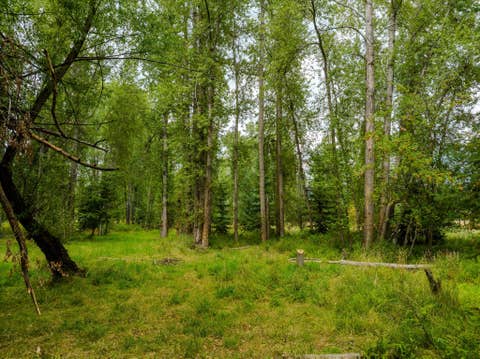 Tiny photo for 98 Dome Mountain Avenue, Libby, MT 59923 (MLS # 30076749)