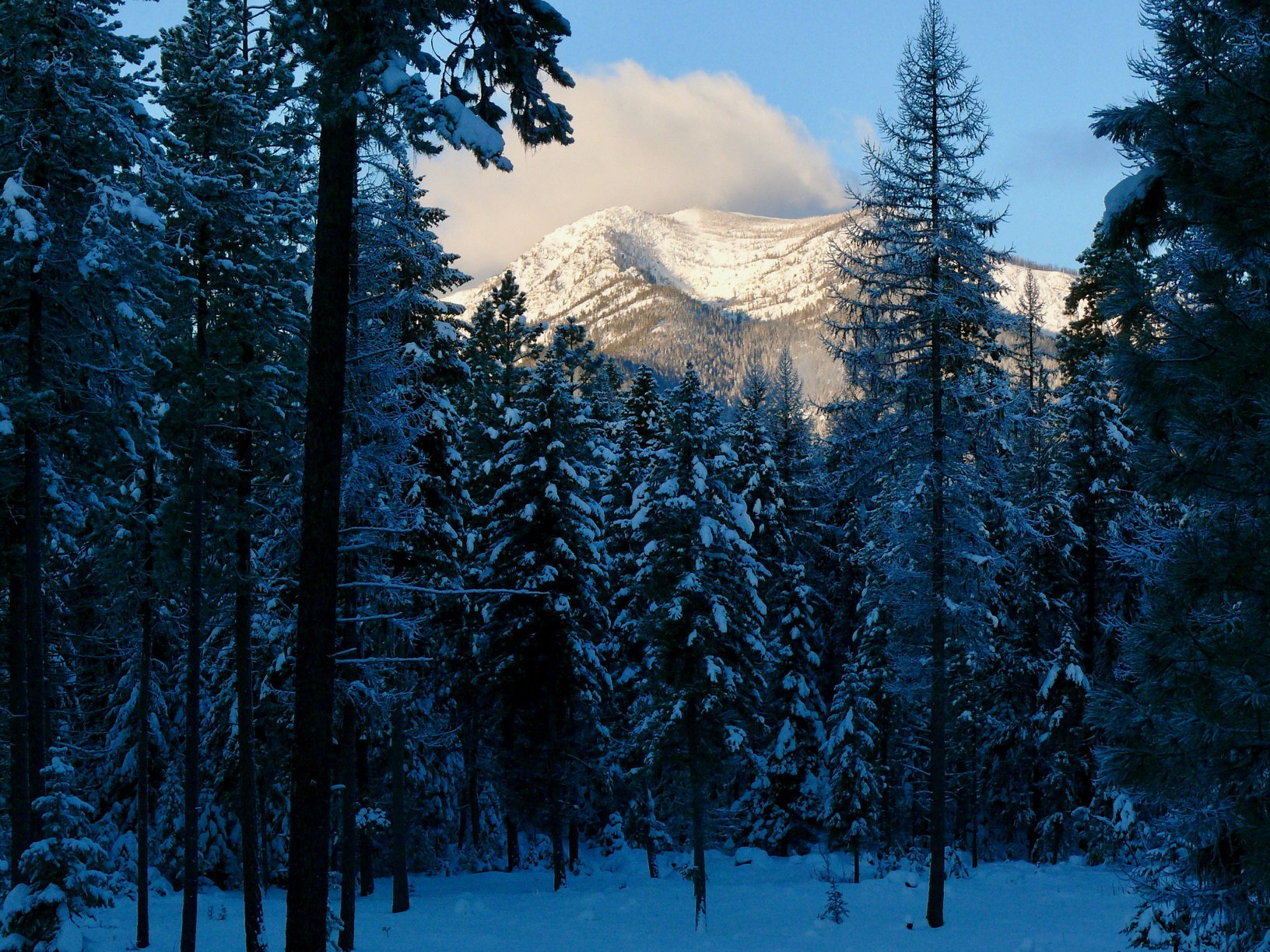 Libby, Montana, 59923, United States, 2 Bedrooms Bedrooms, ,3 BathroomsBathrooms,Residential,Active,2027757