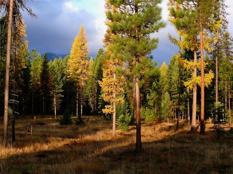 Tiny photo for 488 & 536 Grumpy Dog Road, Libby, MT 59923 (MLS # 30066149)