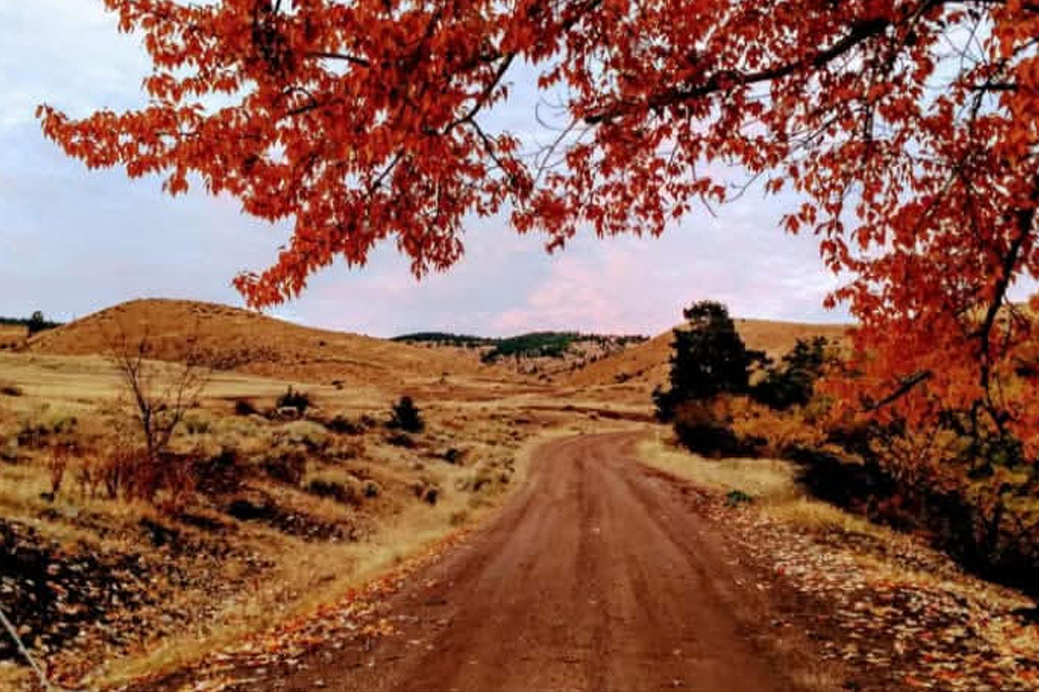 187 Edwards Gulch Road