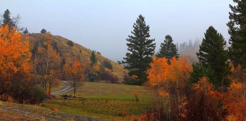 Photo of 187 Edwards Gulch Road, Drummond, MT 59832 (MLS # 30059837)