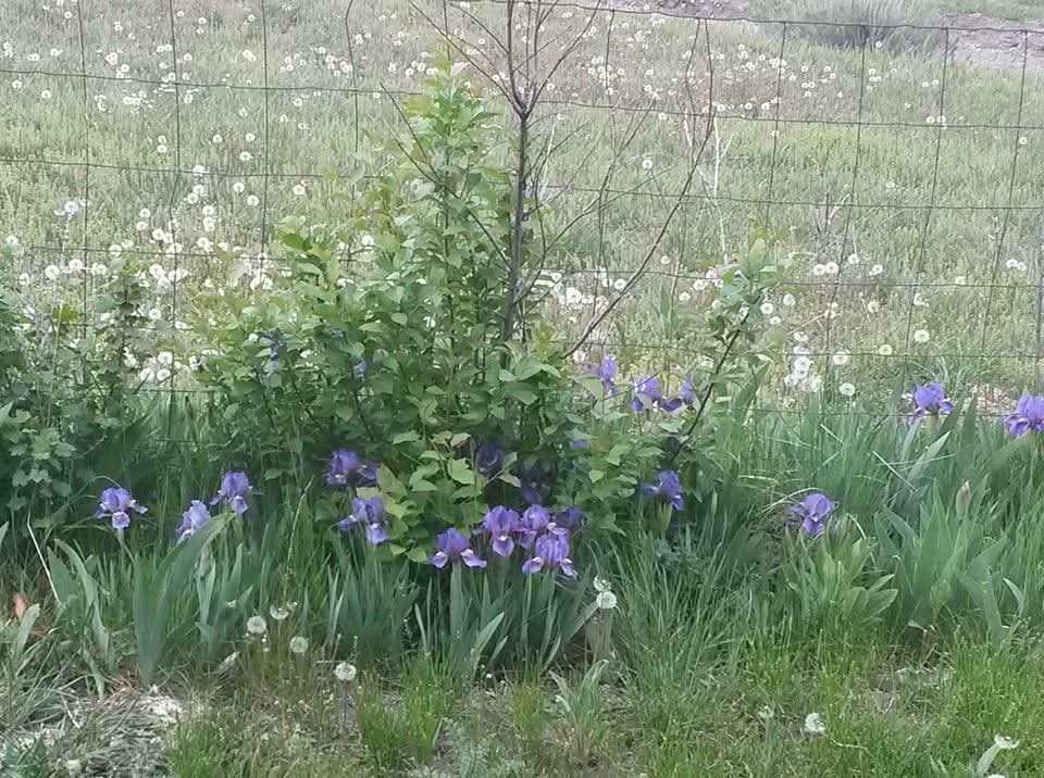 187 Edwards Gulch Road