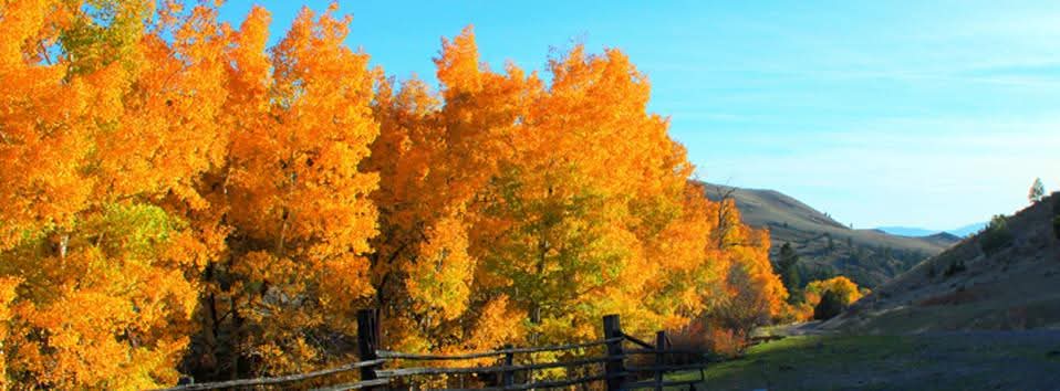 187 Edwards Gulch Road