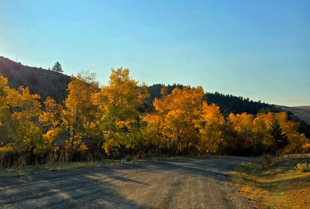 187 Edwards Gulch Road